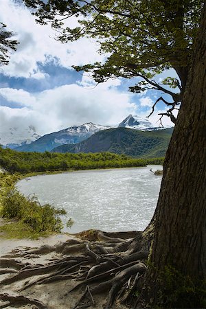 simsearch:625-01751610,k - Trees at the lakeside with mountains in the background, Lake Argentino, Argentine Glaciers National Park, Patagonia, Stock Photo - Premium Royalty-Free, Code: 625-01751605