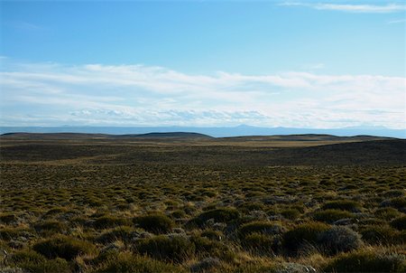 simsearch:625-01751610,k - Panoramic view of a landscape, National Route 40, Patagonia, Argentina Stock Photo - Premium Royalty-Free, Code: 625-01751603