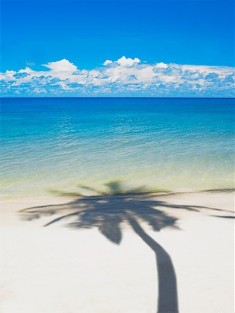 simsearch:625-01094251,k - Shadow of a tree on the beach, Providencia, Providencia y Santa Catalina, San Andres y Providencia Department, Colombia Fotografie stock - Premium Royalty-Free, Codice: 625-01751784