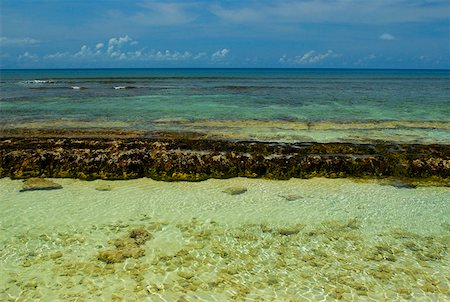 san andres - Panoramic view of the sea, San Andres, Providencia y Santa Catalina, San Andres y Providencia Department, Colombia Fotografie stock - Premium Royalty-Free, Codice: 625-01751803