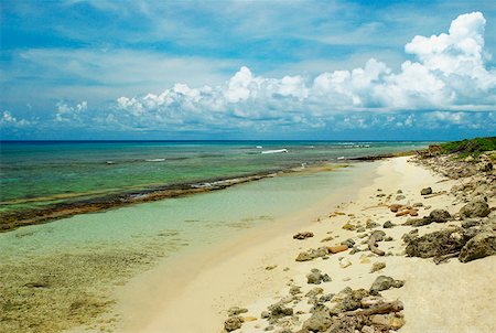 simsearch:625-01094251,k - Panoramic view of a beach, San Andres, Providencia y Santa Catalina, San Andres y Providencia Department, Colombia Fotografie stock - Premium Royalty-Free, Codice: 625-01751816