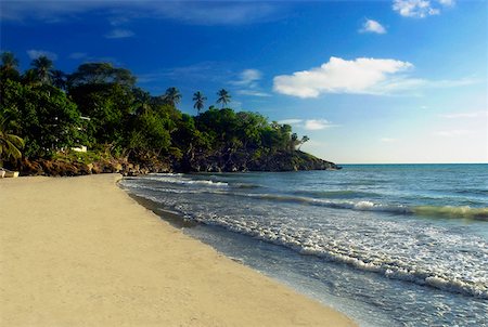 simsearch:625-01094251,k - Waves on the beach, Providencia, Providencia y Santa Catalina, San Andres y Providencia Department, Colombia Fotografie stock - Premium Royalty-Free, Codice: 625-01751827