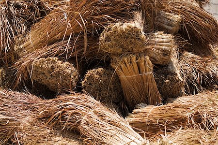 simsearch:625-02267871,k - Hay bales in a field, Cancun, Mexico Stock Photo - Premium Royalty-Free, Code: 625-01751890