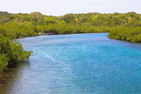Rivière traversant une forêt, Dixon Cove, Roatan, Bay Islands, Honduras Photographie de stock - Premium Libres de Droits, Code: 625-01751936