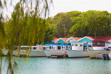 roatan - Boats moored at a dock, Coral Cay Dixon Cove, Roatan, Bay Islands, Honduras Foto de stock - Royalty Free Premium, Número: 625-01751939