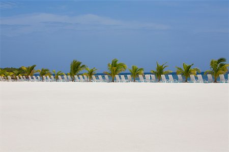 roatan - Lounge chairs and palm trees on the beach, Coral Cay, Dixon Cove, Roatan, Bay Islands, Honduras Foto de stock - Royalty Free Premium, Número: 625-01751930