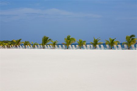 Lounge chairs and palm trees on the beach, Coral Cay, Dixon Cove, Roatan, Bay Islands, Honduras Stock Photo - Premium Royalty-Free, Code: 625-01751930