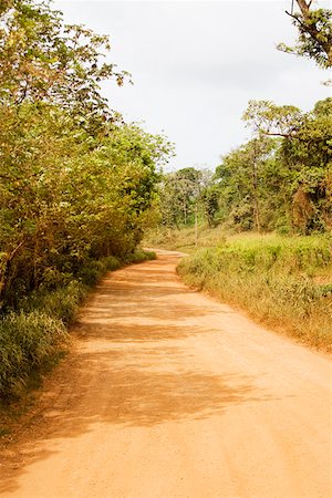 Dirt road passing through a forest, Camp Bay, Roatan, Bay Islands, Honduras Stock Photo - Premium Royalty-Free, Code: 625-01751949