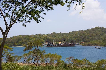 roatan - Trees at the riverside, Dixon Cove, Roatan, Bay Islands, Honduras Foto de stock - Royalty Free Premium, Número: 625-01751950