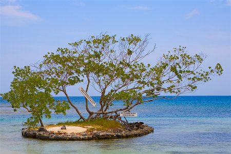 simsearch:625-01749997,k - Trees surrounded by water, Las Palmas Resort, Roatan, Bay Islands, Honduras Foto de stock - Royalty Free Premium, Número: 625-01751969