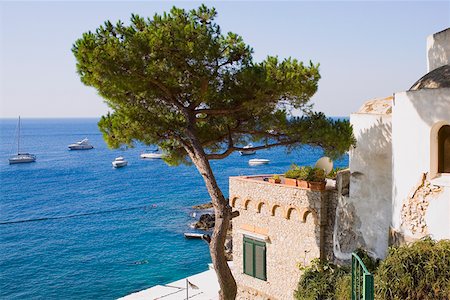 Boats in the sea, Capri, Campania Italy Foto de stock - Sin royalties Premium, Código: 625-01752068