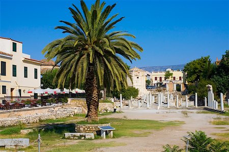 Palm tree in a courtyard, Roman Agora, Athens, Greece Fotografie stock - Premium Royalty-Free, Codice: 625-01752278