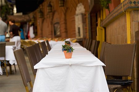 simsearch:625-02928661,k - Topfpflanzen auf Tischen in einem Restaurant, Istanbul, Türkei Stockbilder - Premium RF Lizenzfrei, Bildnummer: 625-01752388