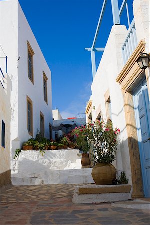 Potted plants in front of buildings, Patmos, Dodecanese Islands, Greece Stock Photo - Premium Royalty-Free, Code: 625-01752635