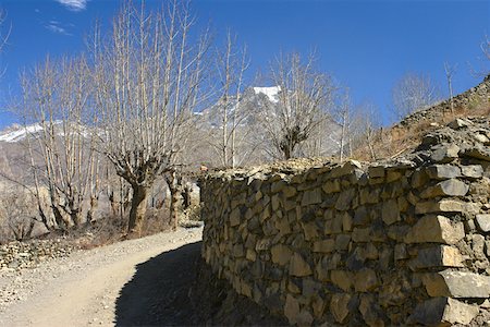 simsearch:625-01752967,k - Nackte Bäume vor Bergen, Annapurna Range, Himalaya, Nepal Stockbilder - Premium RF Lizenzfrei, Bildnummer: 625-01752917