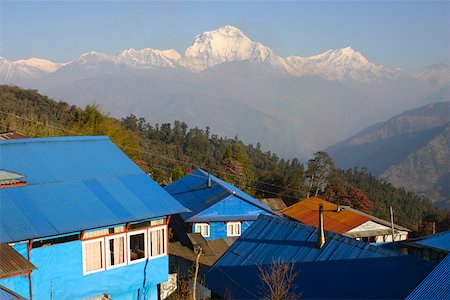 simsearch:625-01752967,k - Erhöhte Ansicht der Häuser mit Bergen im Hintergrund, Gorepani, Annapurna Range, Himalaya, Nepal Stockbilder - Premium RF Lizenzfrei, Bildnummer: 625-01752981
