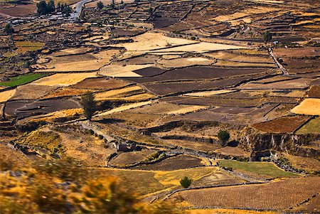 simsearch:862-03732121,k - Aerial view of a field, Chivay, Arequipa, Peru Foto de stock - Sin royalties Premium, Código: 625-01753164