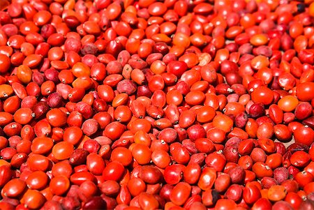 simsearch:640-02948279,k - Close-up of seeds of Huayruro, Pisaq, Cuzco, Peru Stock Photo - Premium Royalty-Free, Code: 625-01753169