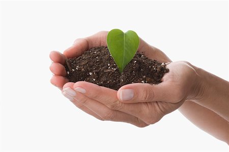 Leaf and compost on a person's hands Foto de stock - Sin royalties Premium, Código: 625-02265907