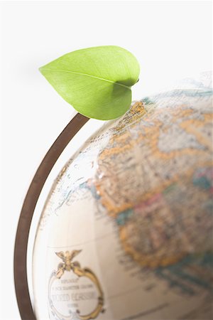 simsearch:625-02265907,k - Close-up of a leaf on a globe Stock Photo - Premium Royalty-Free, Code: 625-02266097