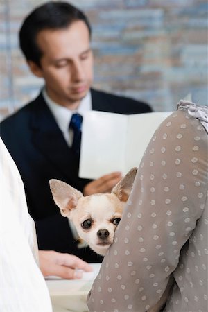 recepção - Woman holding a puppy with a mature man in the background Foto de stock - Royalty Free Premium, Número: 625-02266739