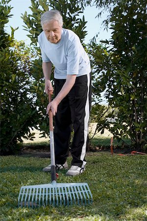 Senior man raking in a garden Stock Photo - Premium Royalty-Free, Code: 625-02267785
