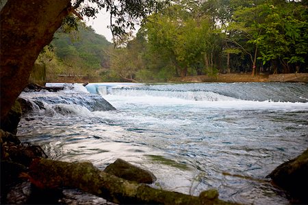 simsearch:625-02268112,k - River flowing through forest, Waterfalls of the Monkeys, City Valleys, San Luis Potosi, Mexico Foto de stock - Royalty Free Premium, Número: 625-02268045
