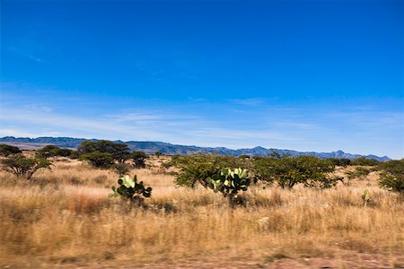 simsearch:625-02268112,k - Panoramic view of a landscape, Sombrerete, Zacatecas State, Mexico Foto de stock - Royalty Free Premium, Número: 625-02268088