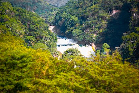 simsearch:625-02268112,k - Waterfall in a forest, Waterfalls of the Monkeys, City Valleys, San Luis Potosi, Mexico Foto de stock - Royalty Free Premium, Número: 625-02268115