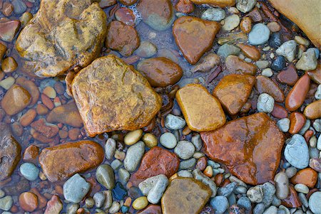 pebble - High angle view of pebbles Foto de stock - Sin royalties Premium, Código: 625-02927144