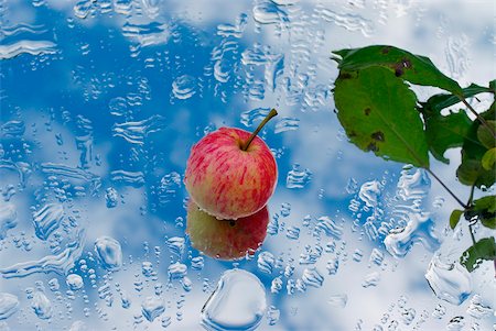 Apple and water droplets on glass Foto de stock - Sin royalties Premium, Código: 625-02927272