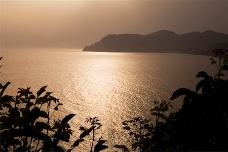 simsearch:625-02928514,k - Silhouette d'une montagne à la mer, la Riviera italienne, Parc National des Cinque Terre, Mar Ligure, Cinque Terre, La Spezia, Ligurie, Italie Photographie de stock - Premium Libres de Droits, Code: 625-02927503