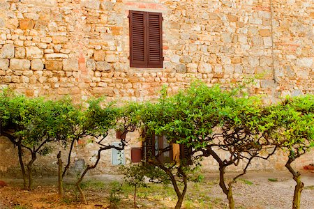 san gimignano - Backyard of a building, San Gimignano, Siena Province, Tuscany, Italy Stock Photo - Premium Royalty-Free, Code: 625-02927585