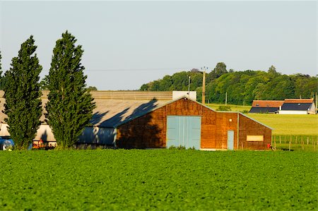 Barn in a field, Loire Valley, France Stock Photo - Premium Royalty-Free, Code: 625-02927731