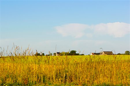 simsearch:625-02927698,k - Crop in a field, Loire Valley, France Foto de stock - Sin royalties Premium, Código: 625-02927818