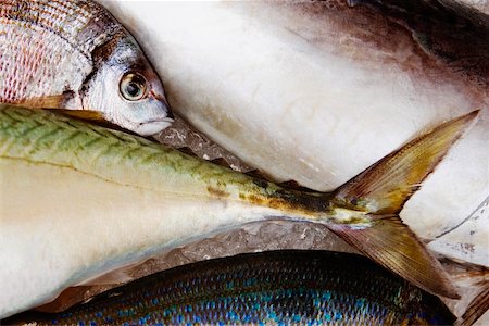 sorrento - Fish for sale at a market stall, Sorrento, Sorrentine Peninsula, Naples Province, Campania, Italy Foto de stock - Sin royalties Premium, Código: 625-02928043