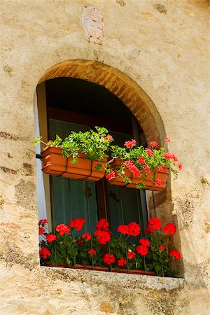 Blumenkästen auf dem Fenster eines Hauses, Provinz Siena, Toskana, Italien Stockbilder - Premium RF Lizenzfrei, Bildnummer: 625-02928088