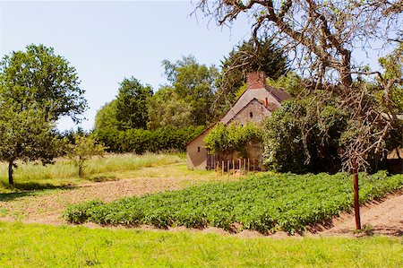 Barn in a field, Loire Valley, France Stock Photo - Premium Royalty-Free, Code: 625-02928327