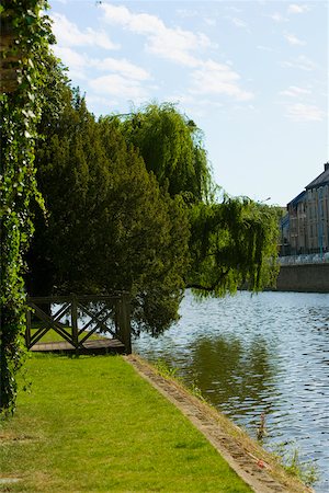 pays de la loire - Reflection of a tree in a river, Sarthe River, Le Mans, Sarthe, France Foto de stock - Sin royalties Premium, Código: 625-02928471