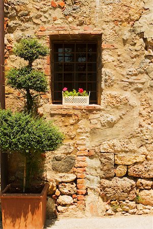flowers window sill - Flowers in a window box on a window sill, Monteriggioni, Siena Province, Tuscany, Italy Stock Photo - Premium Royalty-Free, Code: 625-02928484