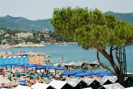 simsearch:625-02928649,k - Erhöhte Ansicht der Sonnenschirme am Strand, Santa Margherita Ligure, italienische Riviera, Genua, Ligurien, Italien Stockbilder - Premium RF Lizenzfrei, Bildnummer: 625-02928512