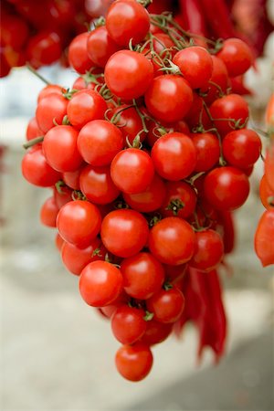 stem vegetable - Close-up of tomatoes hanging at a market stall, Sorrento, Sorrentine Peninsula, Naples Province, Campania, Italy Foto de stock - Sin royalties Premium, Código: 625-02928884