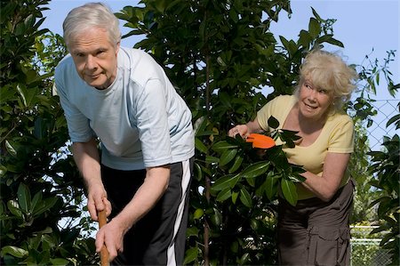 Senior couple gardening Foto de stock - Sin royalties Premium, Código: 625-02930271