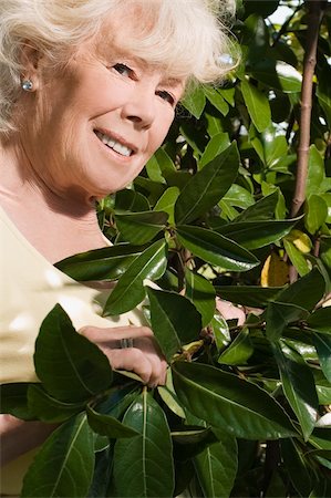 simsearch:625-02932654,k - Close-up of a senior woman gardening Foto de stock - Royalty Free Premium, Número: 625-02931044