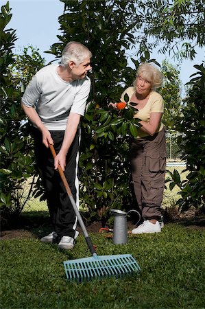 Senior man raking in a garden with a senior woman standing behind him Stock Photo - Premium Royalty-Free, Code: 625-02932453