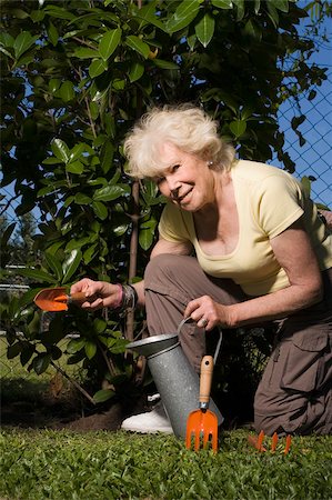 rastrellino - Portrait of a senior woman gardening Fotografie stock - Premium Royalty-Free, Codice: 625-02932574