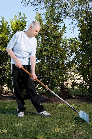 Senior man raking in a garden Stock Photo - Premium Royalty-Free, Code: 625-02933020