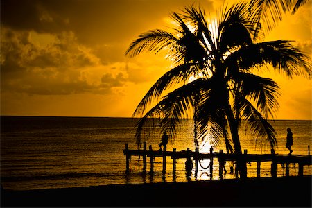 simsearch:625-02928616,k - Silhouette d'une jetée et un palmier à un bord de mer, Punta Allen, Quintana Roo, Mexique Photographie de stock - Premium Libres de Droits, Code: 625-02933293