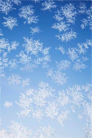 snow and window - Ice crystals, Munich, Bavaria, Germany Stock Photo - Premium Royalty-Free, Code: 628-05817247