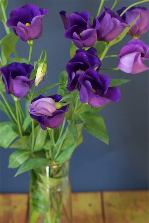 Violet flowers in a vase Stock Photo - Premium Royalty-Free, Code: 628-01278207
